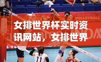 女排世界杯實(shí)時(shí)資訊網(wǎng)站，女排世界杯實(shí)況 