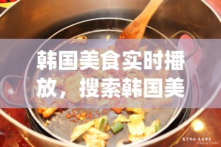 韓國(guó)美食實(shí)時(shí)播放，搜索韓國(guó)美食 