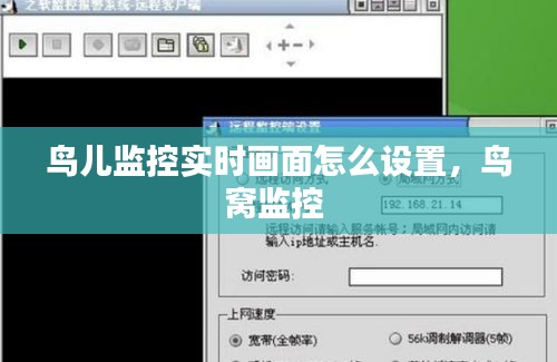 鳥兒監(jiān)控實時畫面怎么設(shè)置，鳥窩監(jiān)控 