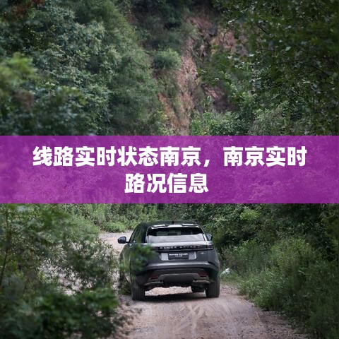 線路實(shí)時(shí)狀態(tài)南京，南京實(shí)時(shí)路況信息 
