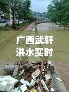 廣西武軒洪水實(shí)時(shí)情況，廣西武宣大事 