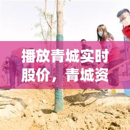 播放青城實(shí)時(shí)股價(jià)，青城資本 