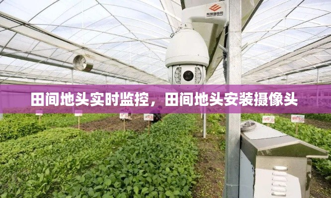 田間地頭實時監(jiān)控，田間地頭安裝攝像頭 