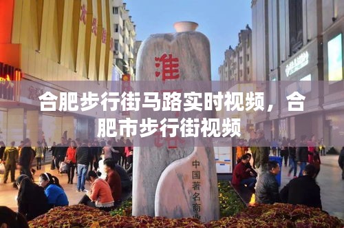 合肥步行街馬路實(shí)時(shí)視頻，合肥市步行街視頻 