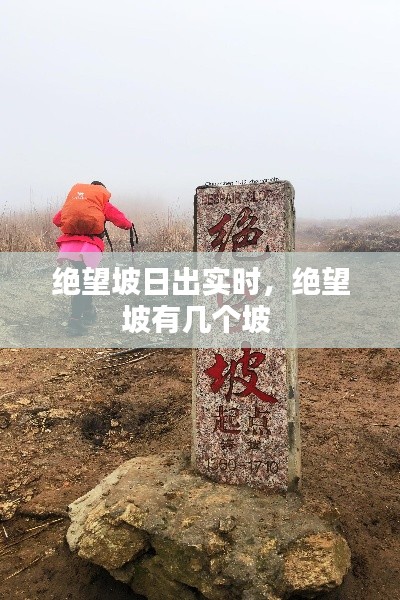 絕望坡日出實(shí)時(shí)，絕望坡有幾個(gè)坡 