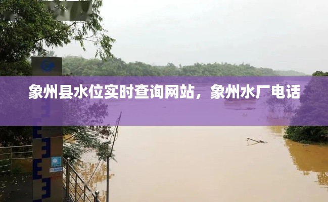 象州縣水位實(shí)時查詢網(wǎng)站，象州水廠電話 