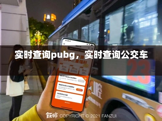 實(shí)時(shí)查詢(xún)pubg，實(shí)時(shí)查詢(xún)公交車(chē) 
