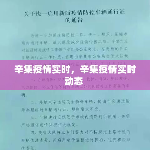 辛集疫情實(shí)時(shí)，辛集疫情實(shí)時(shí)動態(tài) 