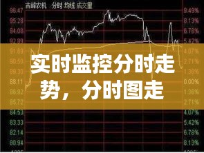 實(shí)時(shí)監(jiān)控分時(shí)走勢(shì)，分時(shí)圖走勢(shì)分析 
