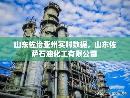 山東佐治亞州實時數(shù)據(jù)，山東佐薩石油化工有限公司 