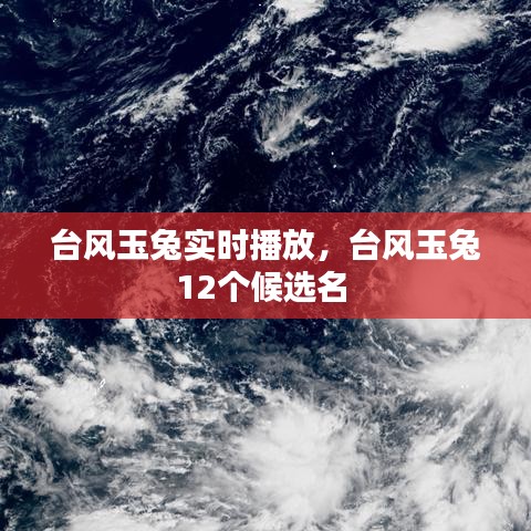 臺(tái)風(fēng)玉兔實(shí)時(shí)播放，臺(tái)風(fēng)玉兔12個(gè)候選名 