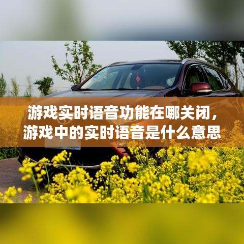 游戲?qū)崟r語音功能在哪關(guān)閉，游戲中的實時語音是什么意思 