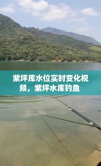紫坪庫水位實時變化視頻，紫坪水庫釣魚 