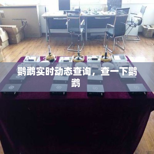 鸚鵡實(shí)時動態(tài)查詢，查一下鸚鵡 