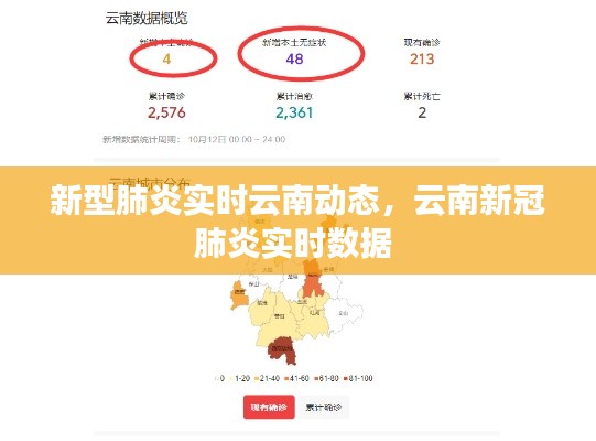 新型肺炎實時云南動態(tài)，云南新冠肺炎實時數(shù)據(jù) 