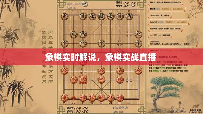 象棋實時解說，象棋實戰(zhàn)直播 