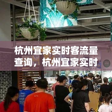 杭州宜家實時客流量查詢，杭州宜家實時客流量查詢官網(wǎng) 