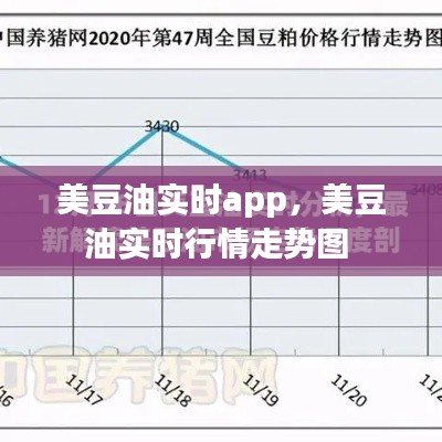 美豆油實(shí)時(shí)app，美豆油實(shí)時(shí)行情走勢(shì)圖 