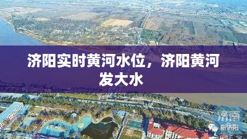 濟(jì)陽實(shí)時(shí)黃河水位，濟(jì)陽黃河發(fā)大水 