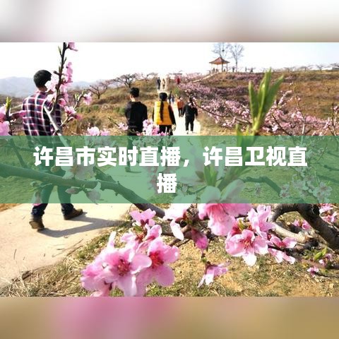 許昌市實(shí)時(shí)直播，許昌衛(wèi)視直播 