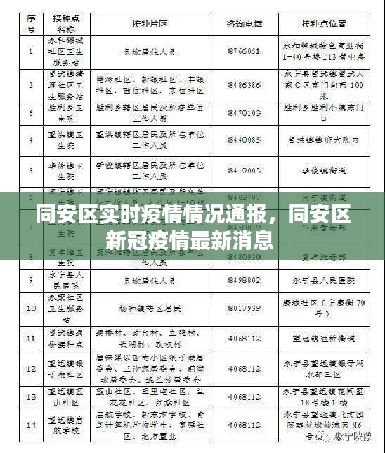 同安區(qū)實時疫情情況通報，同安區(qū)新冠疫情最新消息 
