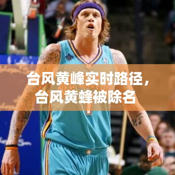 臺(tái)風(fēng)黃峰實(shí)時(shí)路徑，臺(tái)風(fēng)黃蜂被除名 