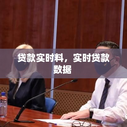 貸款實(shí)時(shí)料，實(shí)時(shí)貸款數(shù)據(jù) 