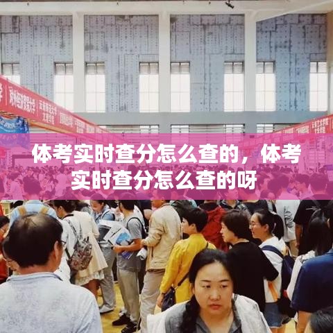 體考實時查分怎么查的，體考實時查分怎么查的呀 