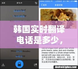 韓國實(shí)時(shí)翻譯電話是多少，韓國中文翻譯電話 