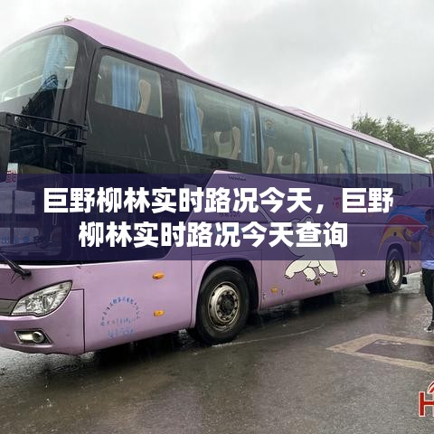 巨野柳林實(shí)時(shí)路況今天，巨野柳林實(shí)時(shí)路況今天查詢 