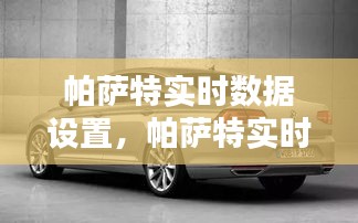 帕薩特實(shí)時數(shù)據(jù)設(shè)置，帕薩特實(shí)時數(shù)據(jù)設(shè)置方法 