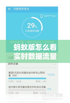 螞蟻版怎么看實時數(shù)據流量，螞蟻會員流量錢包在哪里看 