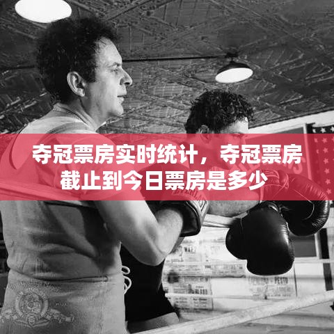 奪冠票房實時統(tǒng)計，奪冠票房截止到今日票房是多少 