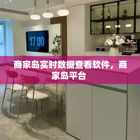 商家島實(shí)時(shí)數(shù)據(jù)查看軟件，商家島平臺 