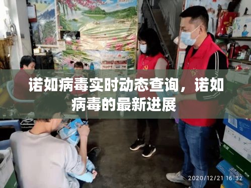 諾如病毒實時動態(tài)查詢，諾如病毒的最新進展 