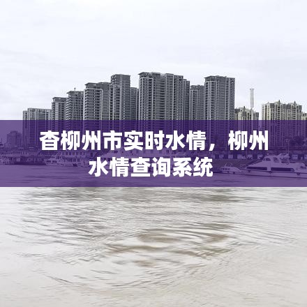 杳柳州市實時水情，柳州水情查詢系統(tǒng) 