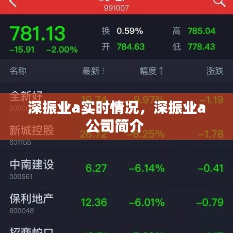 深振業(yè)a實時情況，深振業(yè)a公司簡介 