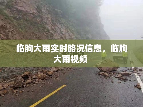 臨朐大雨實時路況信息，臨朐大雨視頻 
