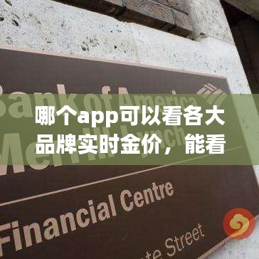 哪個(gè)app可以看各大品牌實(shí)時(shí)金價(jià)，能看金價(jià)的app 