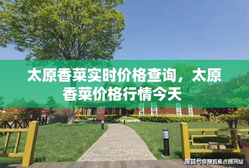 太原香菜實時價格查詢，太原香菜價格行情今天 
