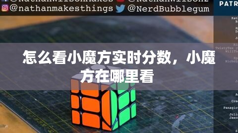怎么看小魔方實時分數(shù)，小魔方在哪里看 