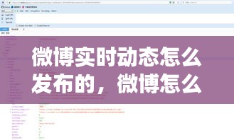 微博實時動態(tài)怎么發(fā)布的，微博怎么發(fā)實時動態(tài)照片 