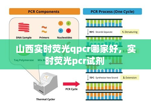 山西實時熒光qpcr哪家好，實時熒光pcr試劑 