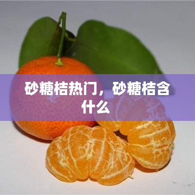 砂糖桔熱門，砂糖桔含什么 