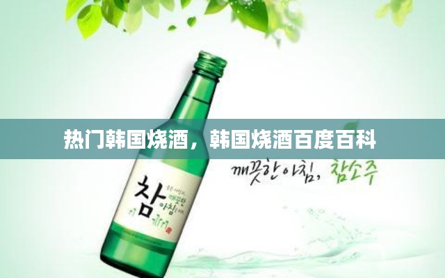 熱門韓國(guó)燒酒，韓國(guó)燒酒百度百科 