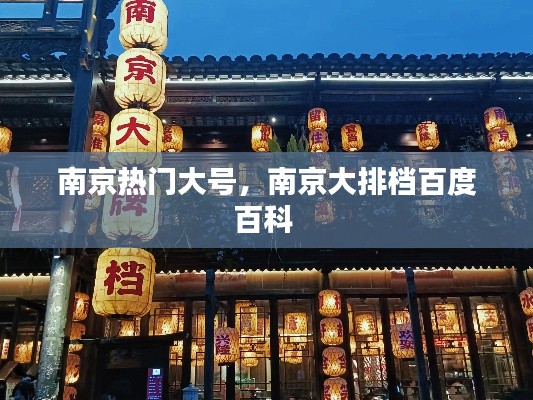南京熱門大號，南京大排檔百度百科 