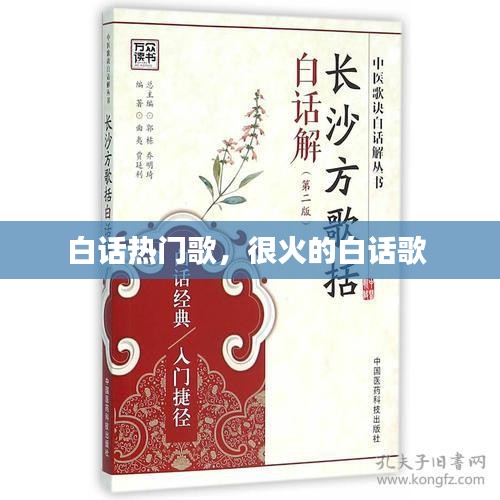 白話熱門歌，很火的白話歌 