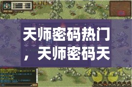 天師密碼熱門，天師密碼天師密碼 