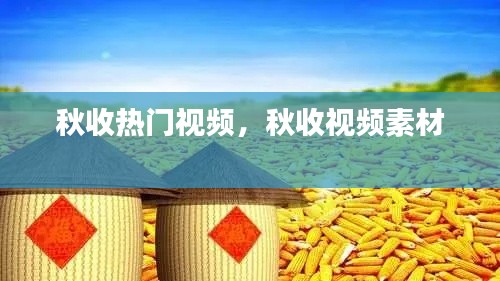 狗尾續(xù)貂 第2頁