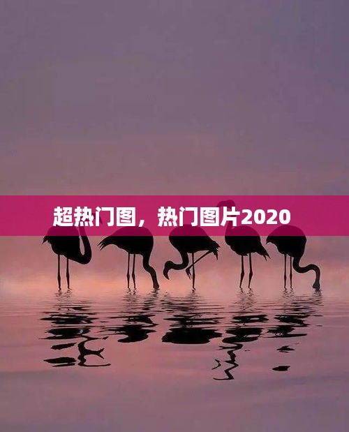 超熱門圖，熱門圖片2020 